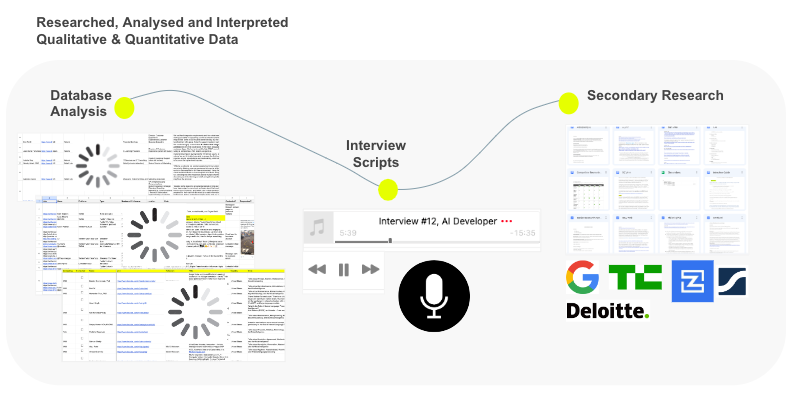 AI Developer Data